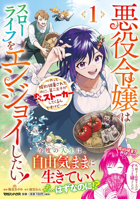 悪役令嬢はスローライフをエンジョイしたい！～やっと婚約破棄されたのに、第二王子がめっちゃストーカーしてくるんですけど…～ 1
