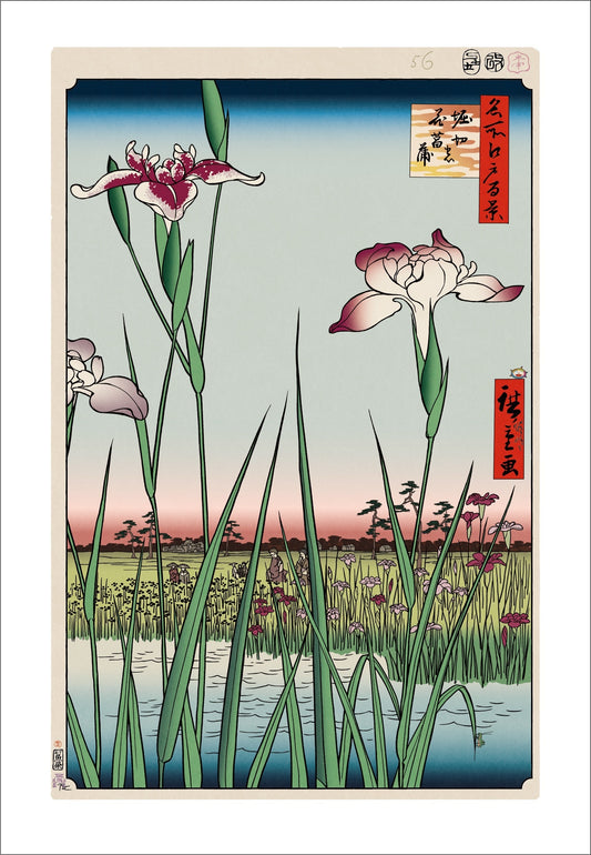 【村上隆 版画作品】広重名所江戸百景 K058_堀切の花菖蒲